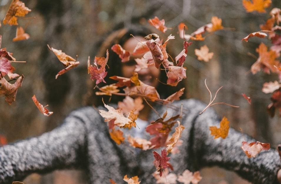 A Leafy Abundance Lesson From Mother Nature